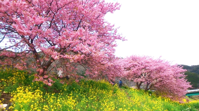 【1泊素泊り】9時までにチェックアウト♪　天然温泉（加温）の貸切露天（桜の湯）無料！